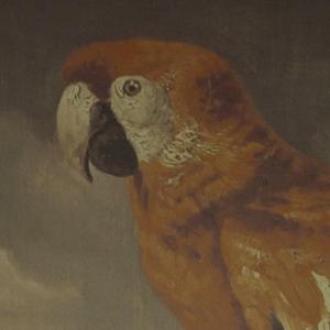 日韩视频在线免费
