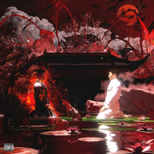 日韩视频在线免费
